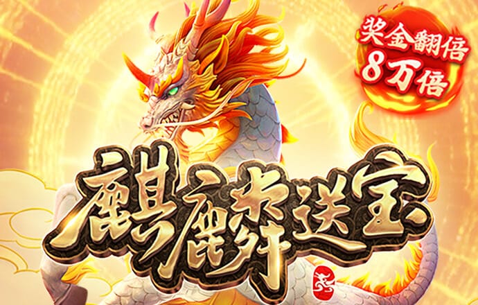 澳门资料大全,正版资料查询历史