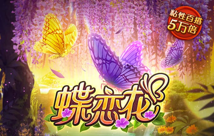 ng体育官网入口登录