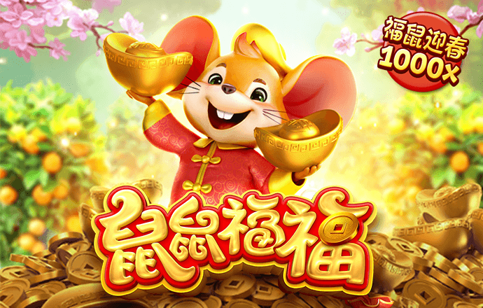 今年会平台怎么样