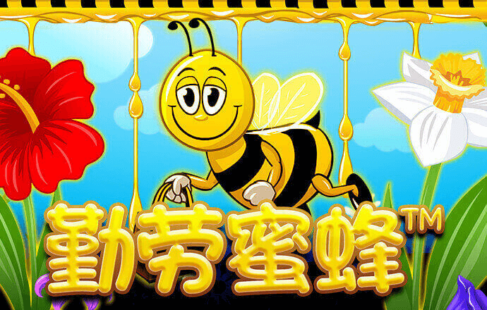华体汇电竞官方