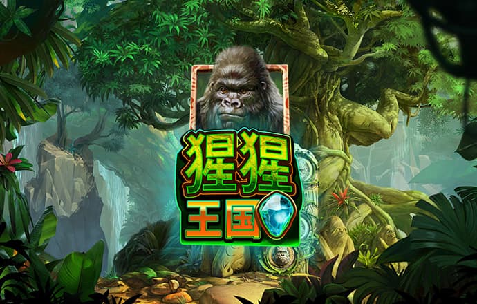 冠博体育官网